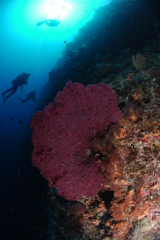 Bunaken Divers Sea Breeze Resort Экстерьер фото